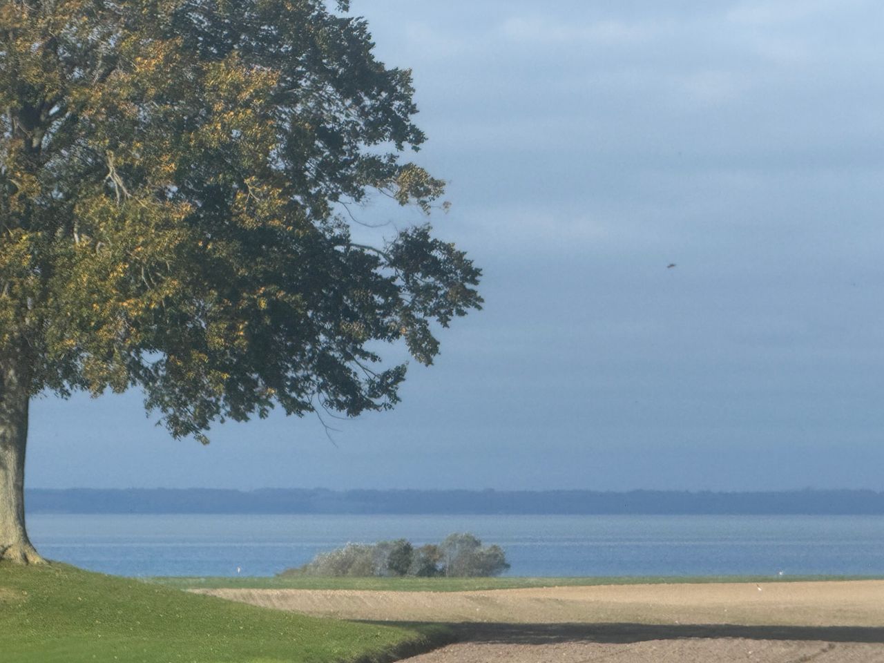 image 03